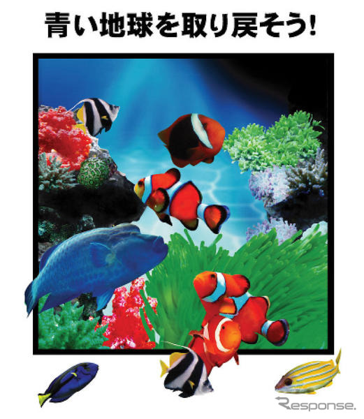 沖縄でサンゴ礁再生を訴える マツダレンタカー