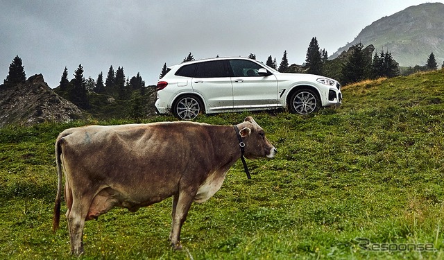 BMW X3 xDrive30e