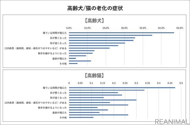 イオンペット、高齢ペットに関する調査を実施