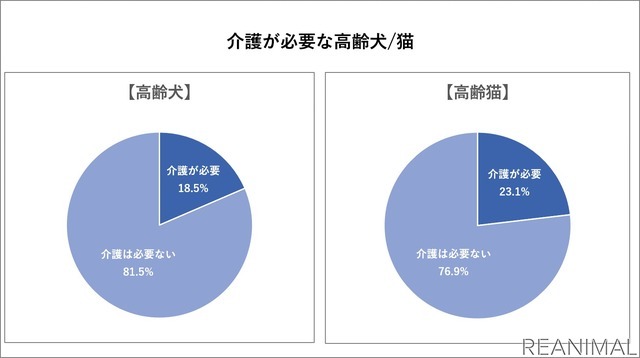 イオンペット、高齢ペットに関する調査を実施