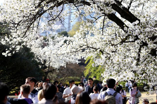 3月21日、東京