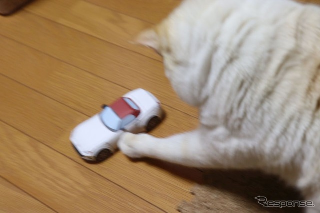 あーっ。こらっ!