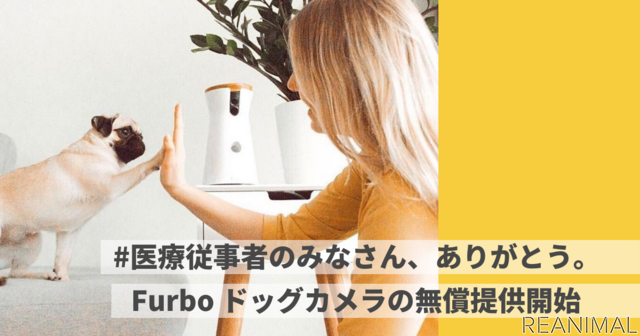 Tomofun、医療従事者を対象にドッグカメラ「Furbo」を無償提供