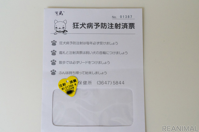 小型犬と暮らすといくらぐらいかかるの?