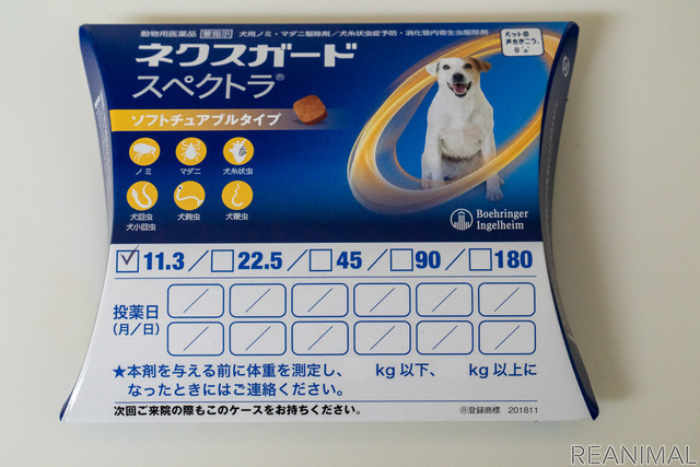 小型犬と暮らすといくらぐらいかかるの?