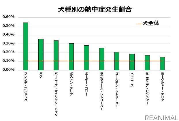 アニコム、「犬の熱中症週間予報」を配信