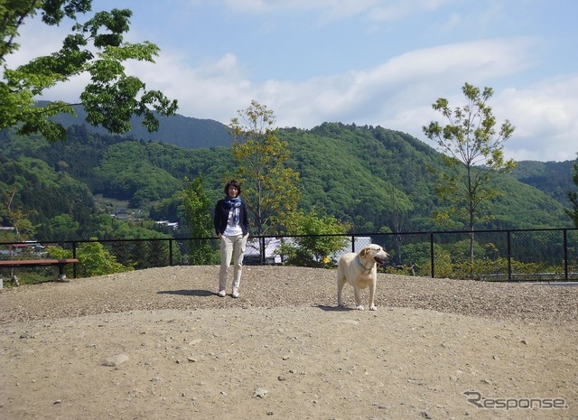 ドライブ時、正しい愛犬の乗せ方