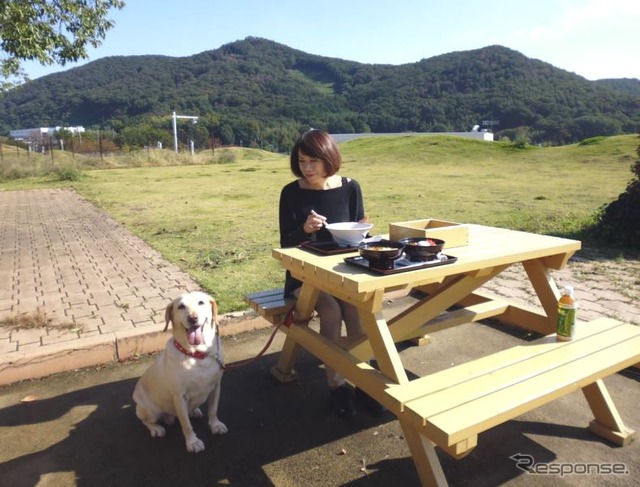 ドライブ時、正しい愛犬の乗せ方