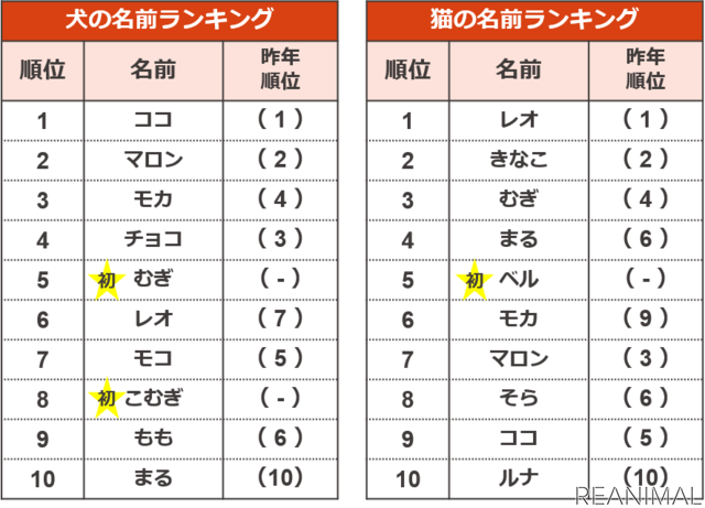 アイペット損保、「ペットの名前ランキング2020」を発表