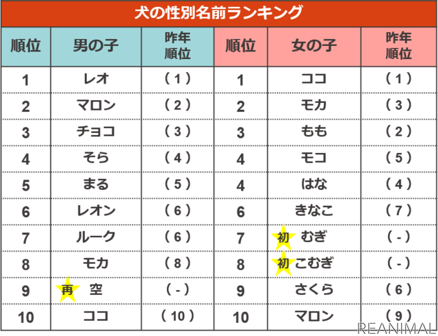 アイペット損保、「ペットの名前ランキング2020」を発表