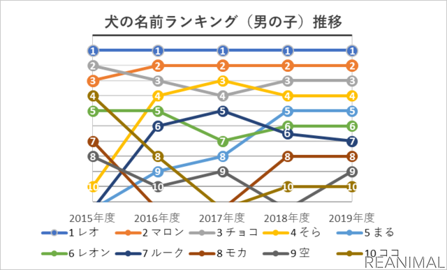 アイペット損保、「ペットの名前ランキング2020」を発表