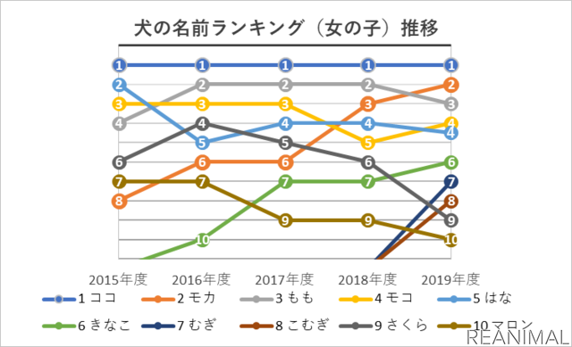 アイペット損保、「ペットの名前ランキング2020」を発表