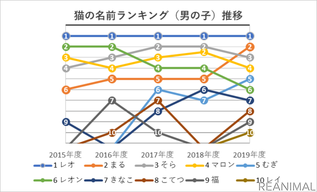 アイペット損保、「ペットの名前ランキング2020」を発表