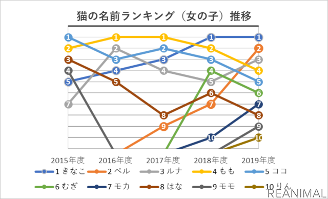 アイペット損保、「ペットの名前ランキング2020」を発表