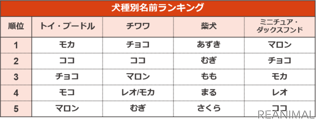 アイペット損保、「ペットの名前ランキング2020」を発表