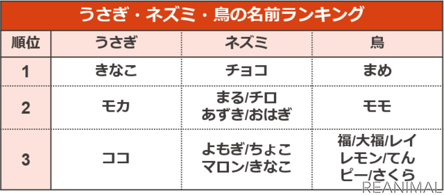 アイペット損保、「ペットの名前ランキング2020」を発表