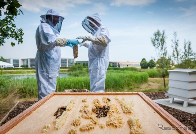ロールス・ロイス養蜂プロジェクト