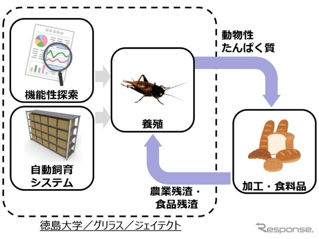 取り組みと業務提携の内容