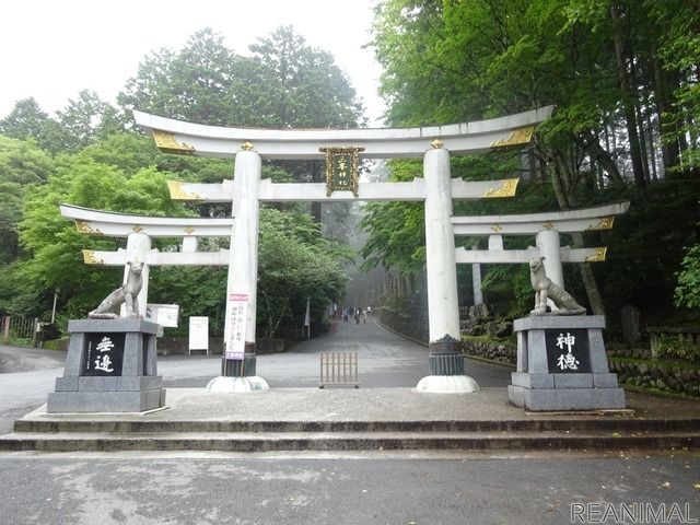 神様の使いとして祀られるオオカミ