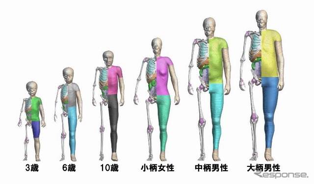 歩行者モデル