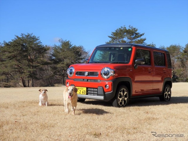 軽自動車でも天候や路面に左右されない、クロスオーバーモデル