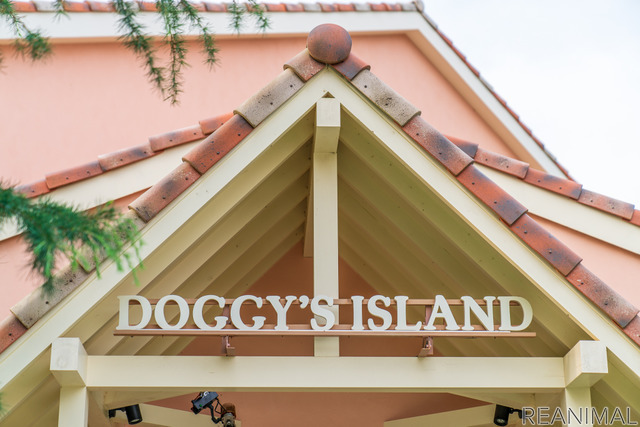 「ドギーズアイランド」は愛犬と楽しめる複合施設