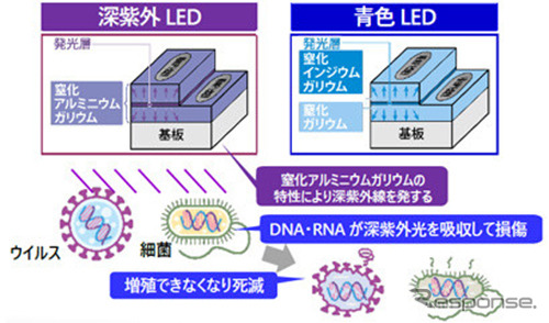 深紫外LEDとは