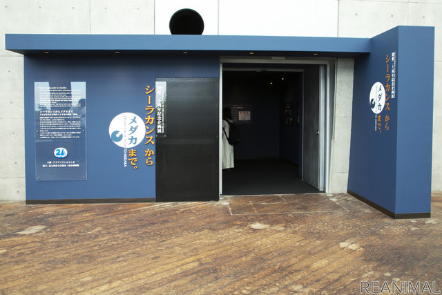 20周年企画展「シーラカンスからメダカまで ~さまざまな生き物が暮らす水の惑星『地球』~」