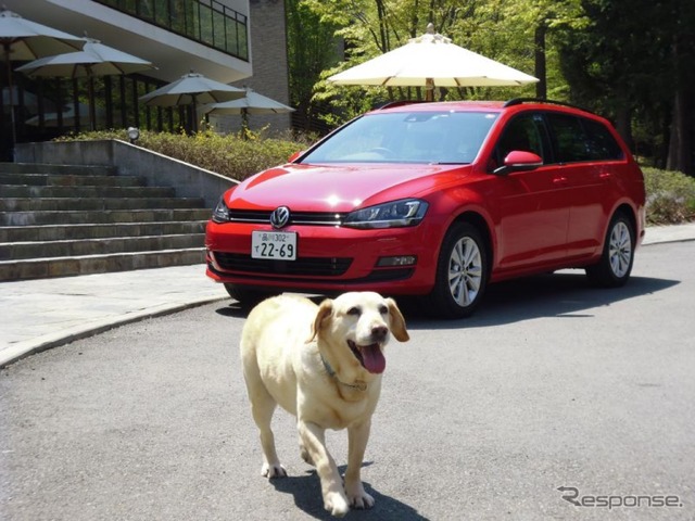 愛犬に優しいクルマの機能&装備