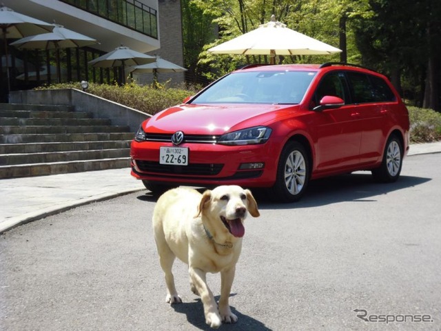 愛犬に優しいクルマの機能＆装備