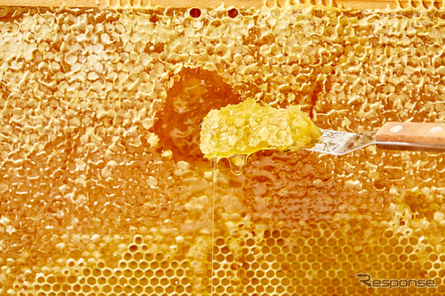 日比谷OKUROJI:BEE FRIENDSHIP