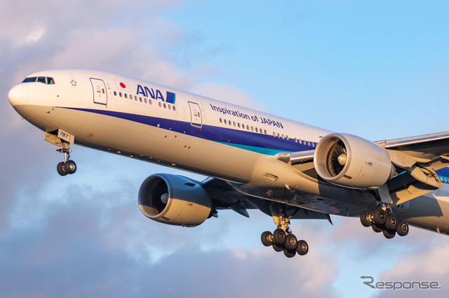 ANA機