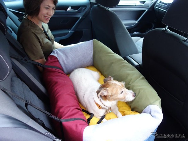 一体型ドッグカートを利用する場合は、愛犬の安全な乗車のために後席用ドッグベッドなどを用意