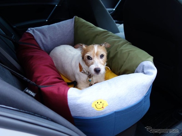 一体型ドッグカートを利用する場合は、愛犬の安全な乗車のために後席用ドッグベッドなどを用意