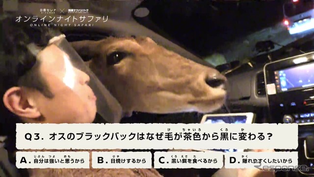 日産セレナe-POWERの特徴のひとつである、助手席窓の広さは、動物にとって頭を入れやすいという利点なっているかも!?