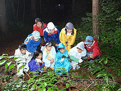 天然記念物ヤマネの生態に迫る…コスモわくわく探検隊