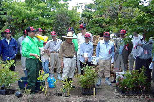 横浜ゴム、5万本以上を植樹…千年の杜プロジェクト
