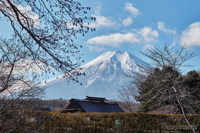 忍野八海