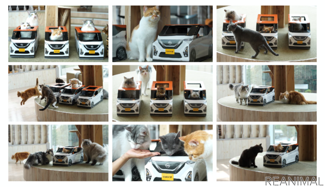 猫用日産軽自動車「にゃっさんデイズ」と猫カフェ「MOCHA」がコラボ