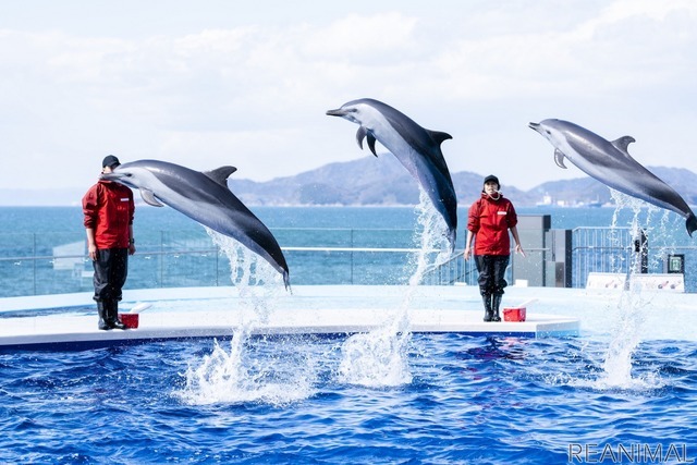 「JAFフェスティバル四国 in 四国水族館」
