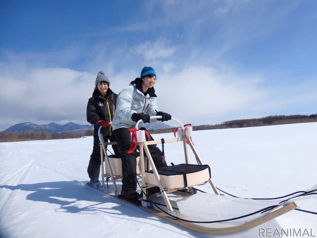 星野リゾート トマム、大雪原を駆け巡る「犬ぞりツアー」を開催