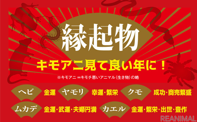 「キモい展」、東京ソラマチスペース634にて開催