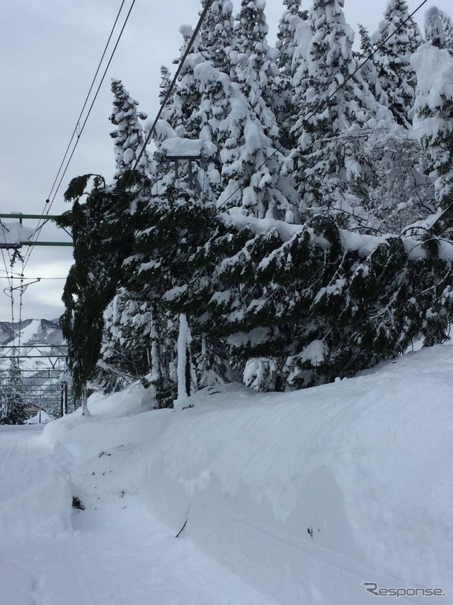 12月18日、上越線の状況。