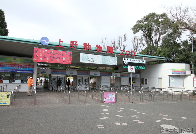 上野動物園