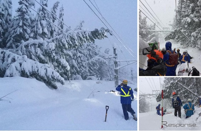 大雪では、湿った降雪の影響で倒木も多数発生する。電化区間では架線設備に損傷を与えることも。