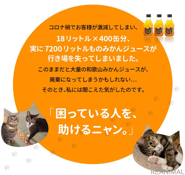 和歌山みかん100%を使用した「ニャンジュース」、「こたつなしタイプ」の予約開始
