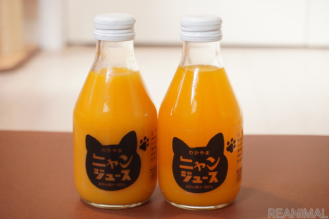 和歌山みかん100%を使用した「ニャンジュース」、「こたつなしタイプ」の予約開始