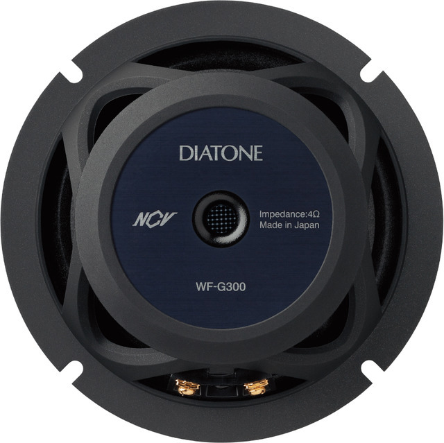 『DIATONE・DS-G300』のミッドウーファー。