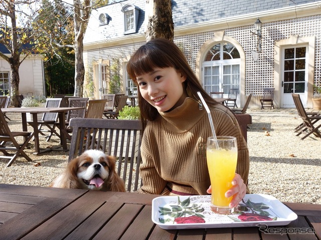 コロナ禍、愛犬とのドライブ旅行に安心して出かけるには?