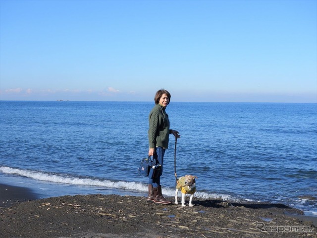 コロナ禍、愛犬とのドライブ旅行に安心して出かけるには?